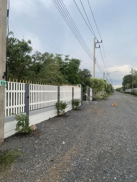 Kanokkull 3 Khlong 14, Pathum Thani, , Nong Sam Wang, Nong Sua, Pathum Thani, 2 Bedrooms, 400 sqm, Single Detached House For Sale, by Connex Property, 500374885 - DDproperty.com