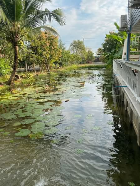 กนกกุล3 คลอง 14, ปทุมธานี, , หนองสามวัง, หนองเสือ, ปทุมธานี, 400 ตร.ม., บ้านเดี่ยว ขาย, โดย Connex Property, 500374885 - DDproperty.com
