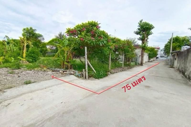 ที่ดินเปล่า ถมแล้ว แจ้งวัฒนะซอย 10, กรุงเทพ, , ตลาดบางเขน, หลักสี่, กรุงเทพ, 628 ตร.ม., ที่ดิน ขาย, โดย Connex Property, 500374892 - DDproperty.com