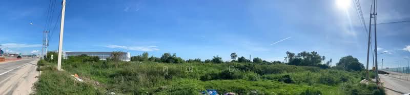ขายที่ดินถมแล้ว 14 ไร่ 100 ตร.วา ตำบลบึง ศรีราชา ชลบุรี ติดถนน 3009 ใกล้ท่าเรือแหลมฉบัง, Chon Buri (Pattaya), Bueng, Si Racha, Chon Buri (Pattaya), , 22,800 sqm, Land For Sale, by คุณ D, 500375195 - DDproperty.com