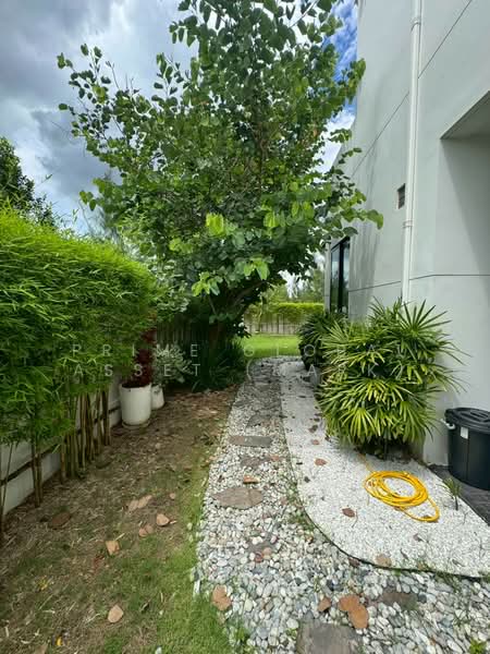 Nimman by Boat Pattana, Phuket, Ratsada, Muang Phuket, Phuket, 3 Bedrooms, 430 sqm, Villa For Rent, by Prime Global Asset (Mark), 500375225 - DDproperty.com
