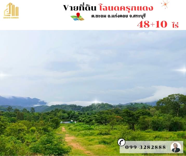 ขายที่ดินเปล่า ติดรีสอร์ทสไตล์อังกฤษ ต.ชะอม อ.แก่งคอย จ.สระบุรี, Saraburi, Cha Om, Kaeng Khoi, Saraburi, , 77,028 sqm, Land For Sale, by ปานมณีกาญจน์ สิริโภคาเศรษฐ์, 500375365 - DDproperty.com