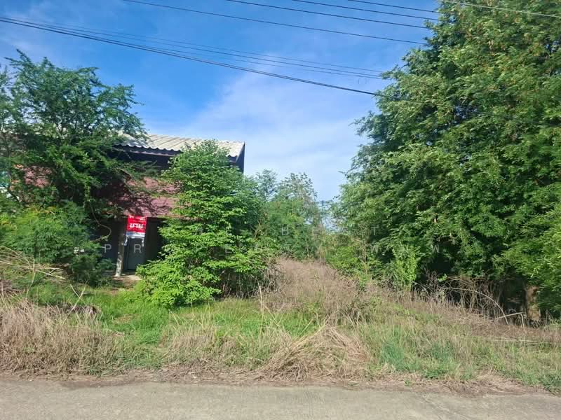 บ้านเดี่ยวเดิมบางนางบวช สุพรรณบุรี, สุพรรณบุรี, เขาดิน, เดิมบางนางบวช, สุพรรณบุรี, 150 ตร.ม., บ้านเดี่ยว ขาย, โดย The Best Property พิมพ์, 500375548 - DDproperty.com
