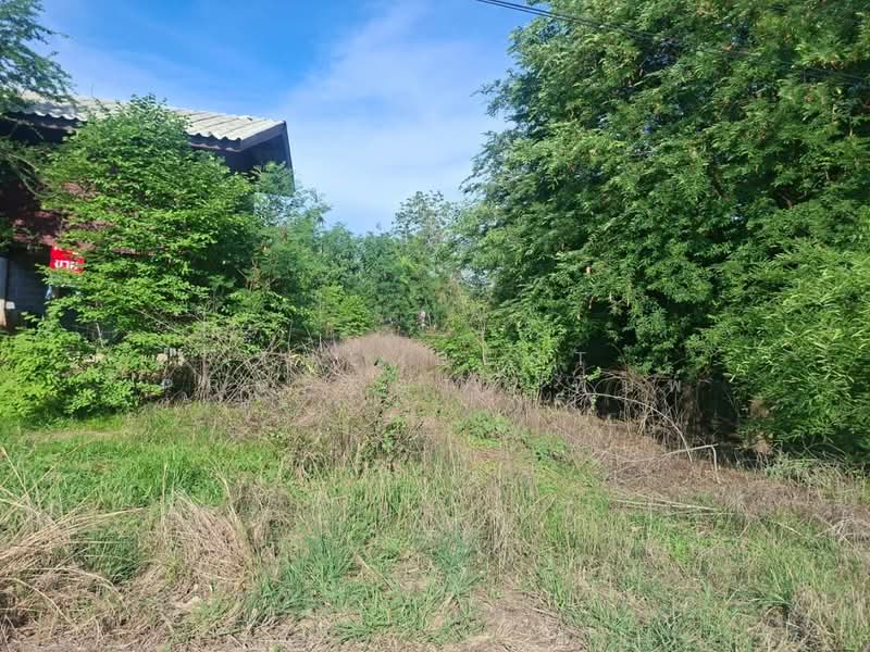 บ้านเดี่ยวเดิมบางนางบวช สุพรรณบุรี, สุพรรณบุรี, เขาดิน, เดิมบางนางบวช, สุพรรณบุรี, 150 ตร.ม., บ้านเดี่ยว ขาย, โดย The Best Property พิมพ์, 500375548 - DDproperty.com