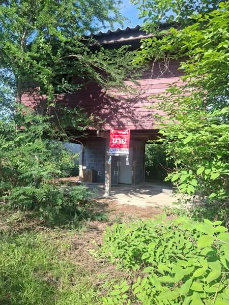 บ้านเดี่ยวเดิมบางนางบวช สุพรรณบุรี, Suphan Buri, Khao Din, Doembang Nangbuat, Suphan Buri, 1 Bedroom, 150 sqm, Single Detached House For Sale, by The Best Property พิมพ์, 500375548 - DDproperty.com