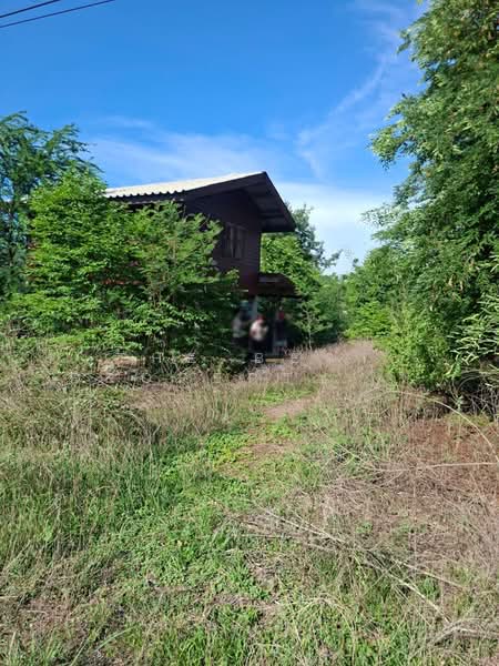 บ้านเดี่ยวเดิมบางนางบวช สุพรรณบุรี, Suphan Buri, Khao Din, Doembang Nangbuat, Suphan Buri, 1 Bedroom, 150 sqm, Single Detached House For Sale, by The Best Property พิมพ์, 500375548 - DDproperty.com