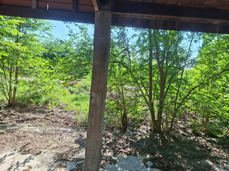 บ้านเดี่ยวเดิมบางนางบวช สุพรรณบุรี, Suphan Buri, Khao Din, Doembang Nangbuat, Suphan Buri, 1 Bedroom, 150 sqm, Single Detached House For Sale, by The Best Property พิมพ์, 500375548 - DDproperty.com