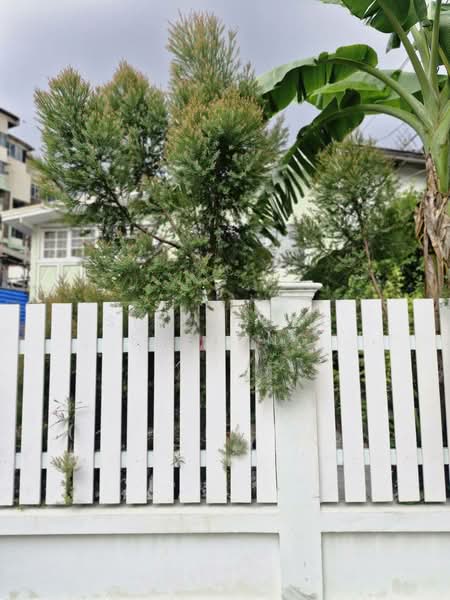 Prachaniwet 3, Nonthaburi, Prachaniwet 3 Road, Tha-Sai, Muang Nonthaburi, Nonthaburi, 2 Bedrooms, 120 sqm, Single Detached House For Sale, by Sirithong Saetang, 500375590 - DDproperty.com