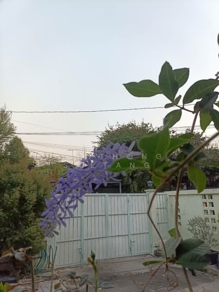 Prachaniwet 3, Nonthaburi, Prachaniwet 3 Road, Tha-Sai, Muang Nonthaburi, Nonthaburi, 2 Bedrooms, 120 sqm, Single Detached House For Sale, by Sirithong Saetang, 500375590 - DDproperty.com