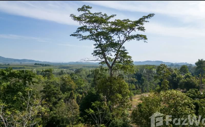 Rare 1,472 SqM Land Plot in Pa Khlok Phuket Near Gibbon Retreat Views, Phuket, Pa Khlok, Thalang, Phuket, , 1,472 sqm, Land For Sale, by Fazwaz (Thailand) Co., Ltd., 500375705 - DDproperty.com