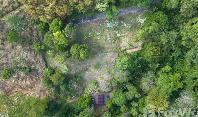 ที่ดิน 1,472 ตร.ม. ป่าคลอก ภูเก็ต ใกล้ Gibbon Retreat วิวสวยหายาก, ภูเก็ต, ป่าคลอก, ถลาง, ภูเก็ต, 1,472 ตร.ม., ที่ดิน ขาย, โดย Fazwaz (Thailand) Co., Ltd., 500375705 - DDproperty.com