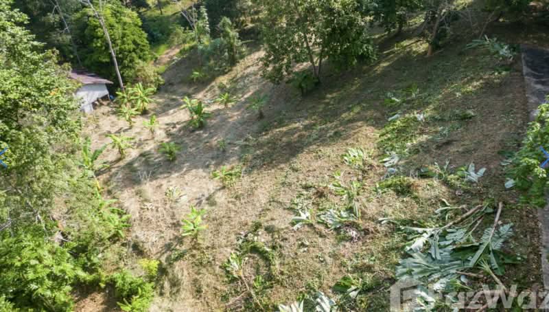 ที่ดิน 1,472 ตร.ม. ป่าคลอก ภูเก็ต ใกล้ Gibbon Retreat วิวสวยหายาก, ภูเก็ต, ป่าคลอก, ถลาง, ภูเก็ต, 1,472 ตร.ม., ที่ดิน ขาย, โดย Fazwaz (Thailand) Co., Ltd., 500375705 - DDproperty.com