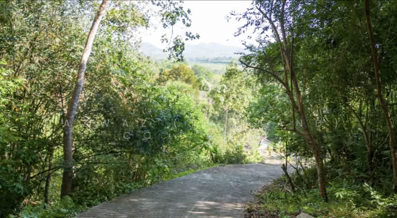 Rare 1,472 SqM Land Plot in Pa Khlok Phuket Near Gibbon Retreat Views, Phuket, Pa Khlok, Thalang, Phuket, , 1,472 sqm, Land For Sale, by Fazwaz (Thailand) Co., Ltd., 500375705 - DDproperty.com