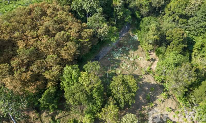 Rare 1,472 SqM Land Plot in Pa Khlok Phuket Near Gibbon Retreat Views, Phuket, Pa Khlok, Thalang, Phuket, , 1,472 sqm, Land For Sale, by Fazwaz (Thailand) Co., Ltd., 500375705 - DDproperty.com