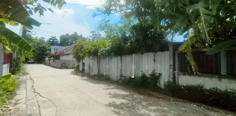 บ้านเดี่ยว+ที่ดินเปล่า 360 ตร.ว. ใกล้บริษัทเวิร์คพอยท์สตูดิโอ ถนนรังสิต-ปทุมธานี, ปทุมธานี, ถนนรังสิต-ปทุมธานี, สวนพริกไทย, เมืองปทุมธานี, ปทุมธานี, 1,440 ตร.ม., ที่ดิน ขาย, โดย คุณ ปวีณรา กระแสร์ฉาย (วี), 500375746 - DDproperty.com