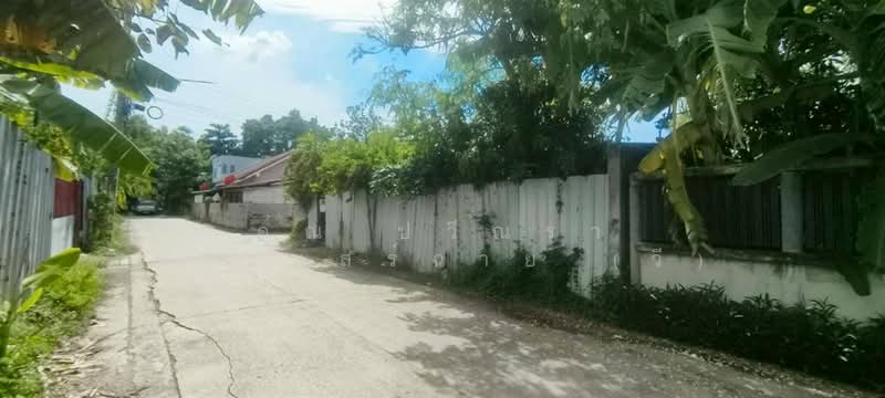บ้านเดี่ยว+ที่ดินเปล่า 360 ตร.ว. ใกล้บริษัทเวิร์คพอยท์สตูดิโอ ถนนรังสิต-ปทุมธานี, Pathum Thani, ถนนรังสิต-ปทุมธานี, Suan Pring Thai, Muang Pathum Thani, Pathum Thani, , 1,440 sqm, Land For Sale, by คุณ ปวีณรา กระแสร์ฉาย (วี), 500375746 - DDproperty.com