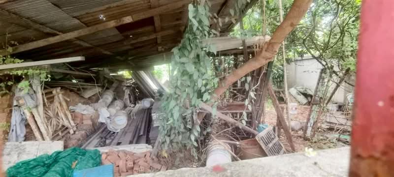 ที่ดินเปล่า 119 ตร.ว. ที่ดิน ใกล้บริษัทเวิร์คพอยท์สตูดิโอ ถนนรังสิต-ปทุมธานี, ปทุมธานี, ถนนรังสิต-ปทุมธานี, สวนพริกไทย, เมืองปทุมธานี, ปทุมธานี, 476 ตร.ม., ที่ดิน ขาย, โดย คุณ ปวีณรา กระแสร์ฉาย (วี), 500375775 - DDproperty.com