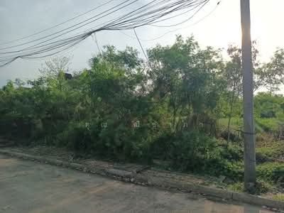ขาย - ที่ดินเปล่า หมู่บ้านกฤษดานคร 27 สามพราน เนื้อที่ 100 ตร.ว. ใกล้มหาวิทยาลัยมหิดล ศาลายา, นครปฐม