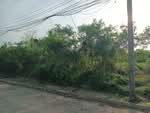 ที่ดินเปล่า หมู่บ้านกฤษดานคร 27 สามพราน เนื้อที่ 100 ตร.ว. ใกล้มหาวิทยาลัยมหิดล ศาลายา, นครปฐม