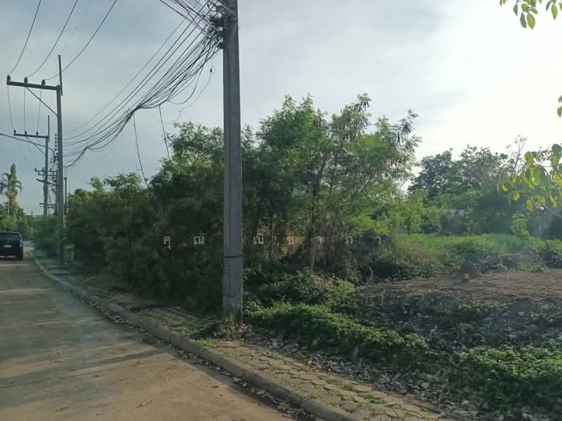 ที่ดินเปล่า หมู่บ้านกฤษดานคร 27 สามพราน เนื้อที่ 100 ตร.ว. ใกล้มหาวิทยาลัยมหิดล ศาลายา, Nakhon Pathom, Hom Kret, Sam Phran, Nakhon Pathom, , 400 sqm, Land For Sale, by คุณ ณิชาภา, 500375788 - DDproperty.com