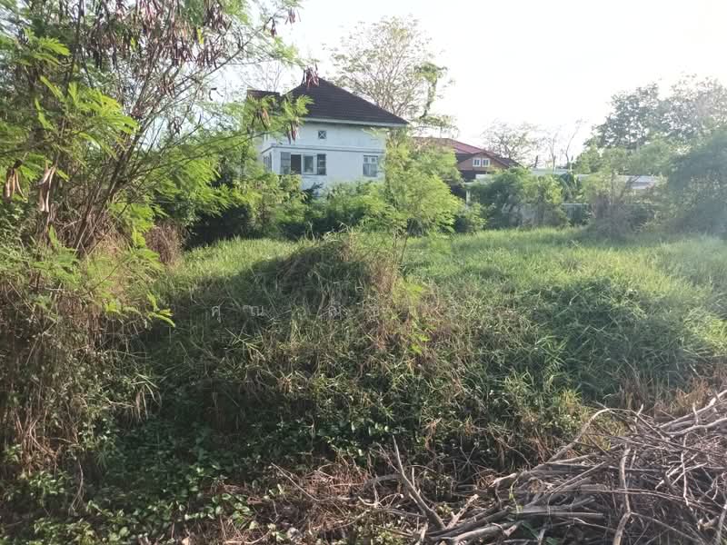 ที่ดินเปล่า หมู่บ้านกฤษดานคร 27 สามพราน เนื้อที่ 100 ตร.ว. ใกล้มหาวิทยาลัยมหิดล ศาลายา, Nakhon Pathom, Hom Kret, Sam Phran, Nakhon Pathom, , 400 sqm, Land For Sale, by คุณ ณิชาภา, 500375788 - DDproperty.com