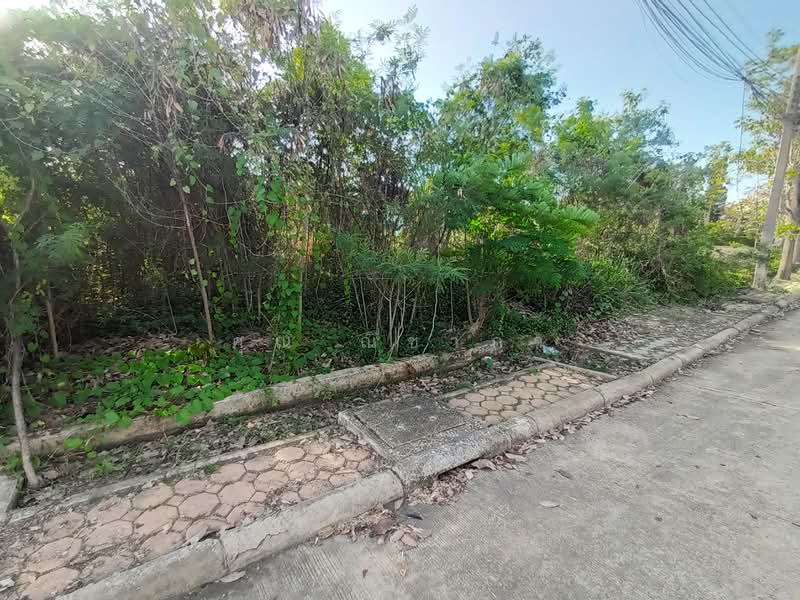 ที่ดินเปล่า หมู่บ้านกฤษดานคร 27 สามพราน เนื้อที่ 100 ตร.ว. ใกล้มหาวิทยาลัยมหิดล ศาลายา, นครปฐม, หอมเกร็ด, สามพราน, นครปฐม, 400 ตร.ม., ที่ดิน ขาย, โดย คุณ ณิชาภา, 500375788 - DDproperty.com