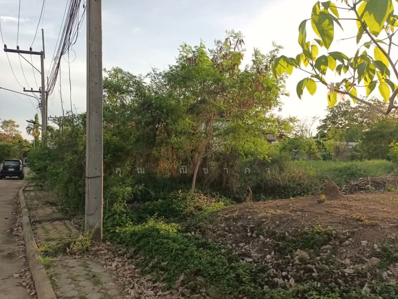 ที่ดินเปล่า หมู่บ้านกฤษดานคร 27 สามพราน เนื้อที่ 100 ตร.ว. ใกล้มหาวิทยาลัยมหิดล ศาลายา, นครปฐม, หอมเกร็ด, สามพราน, นครปฐม, 400 ตร.ม., ที่ดิน ขาย, โดย คุณ ณิชาภา, 500375788 - DDproperty.com