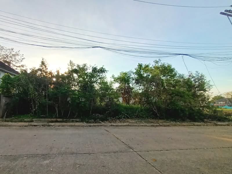 ที่ดินเปล่า หมู่บ้านกฤษดานคร 27 สามพราน เนื้อที่ 100 ตร.ว. ใกล้มหาวิทยาลัยมหิดล ศาลายา, Nakhon Pathom, Hom Kret, Sam Phran, Nakhon Pathom, , 400 sqm, Land For Sale, by คุณ ณิชาภา, 500375788 - DDproperty.com