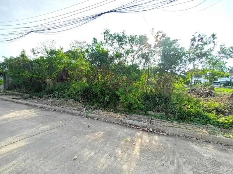 ที่ดินเปล่า หมู่บ้านกฤษดานคร 27 สามพราน เนื้อที่ 100 ตร.ว. ใกล้มหาวิทยาลัยมหิดล ศาลายา, นครปฐม, หอมเกร็ด, สามพราน, นครปฐม, 400 ตร.ม., ที่ดิน ขาย, โดย คุณ ณิชาภา, 500375788 - DDproperty.com