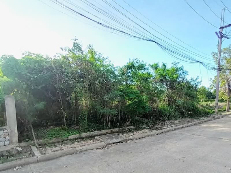 ที่ดินเปล่า หมู่บ้านกฤษดานคร 27 สามพราน เนื้อที่ 100 ตร.ว. ใกล้มหาวิทยาลัยมหิดล ศาลายา, Nakhon Pathom, Hom Kret, Sam Phran, Nakhon Pathom, , 400 sqm, Land For Sale, by คุณ ณิชาภา, 500375788 - DDproperty.com