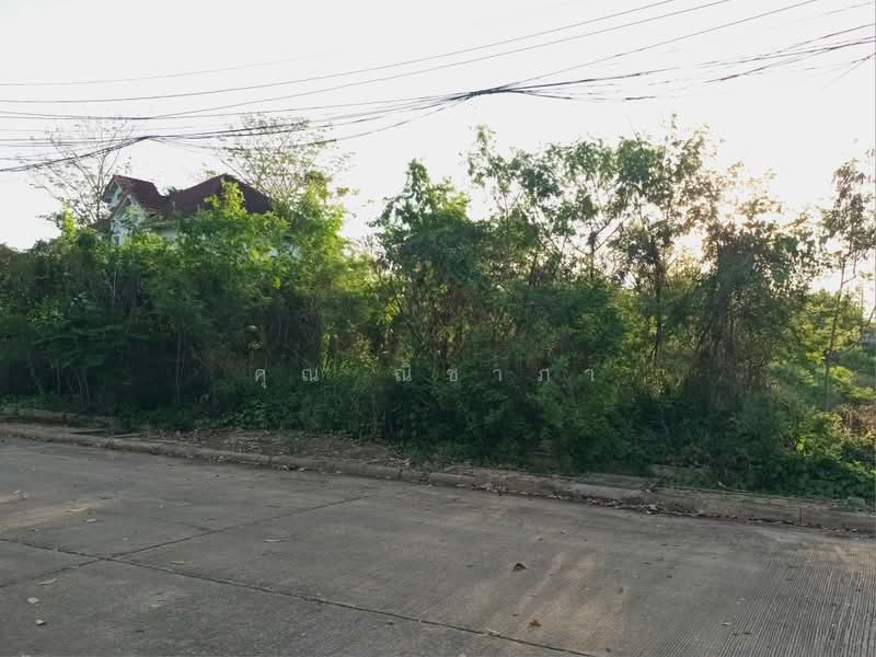 ที่ดินเปล่า หมู่บ้านกฤษดานคร 27 สามพราน เนื้อที่ 100 ตร.ว. ใกล้มหาวิทยาลัยมหิดล ศาลายา, Nakhon Pathom, Hom Kret, Sam Phran, Nakhon Pathom, , 400 sqm, Land For Sale, by คุณ ณิชาภา, 500375788 - DDproperty.com