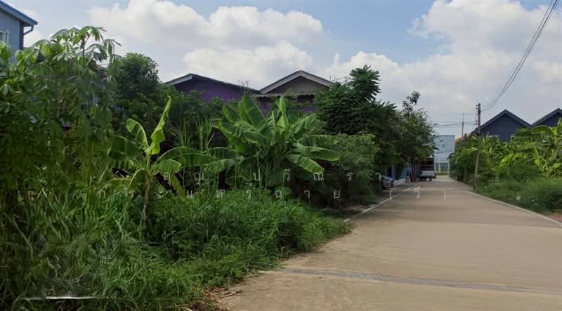 ที่ดินเปล่า 61 ตร.ว. ที่ดิน ซอยร่วมใจ1/2 ถนนรังสิต-ปทุมธานี, Pathum Thani, ถนนรังสิต-ปทุมธานี, Suan Pring Thai, Muang Pathum Thani, Pathum Thani, , 244 sqm, Land For Sale, by คุณ ปวีณรา กระแสร์ฉาย (วี), 500375798 - DDproperty.com