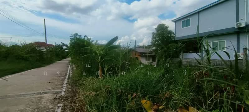 ที่ดินเปล่า 61 ตร.ว. ที่ดิน ซอยร่วมใจ1/2 ถนนรังสิต-ปทุมธานี, ปทุมธานี, ถนนรังสิต-ปทุมธานี, สวนพริกไทย, เมืองปทุมธานี, ปทุมธานี, 244 ตร.ม., ที่ดิน ขาย, โดย คุณ ปวีณรา กระแสร์ฉาย (วี), 500375798 - DDproperty.com