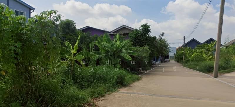 ที่ดินเปล่า 61 ตร.ว. ที่ดิน ซอยร่วมใจ1/2 ถนนรังสิต-ปทุมธานี, ปทุมธานี, ถนนรังสิต-ปทุมธานี, สวนพริกไทย, เมืองปทุมธานี, ปทุมธานี, 244 ตร.ม., ที่ดิน ขาย, โดย คุณ ปวีณรา กระแสร์ฉาย (วี), 500375798 - DDproperty.com