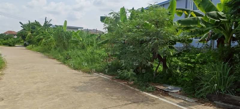 ที่ดินเปล่า 61 ตร.ว. ที่ดิน ซอยร่วมใจ1/2 ถนนรังสิต-ปทุมธานี, Pathum Thani, ถนนรังสิต-ปทุมธานี, Suan Pring Thai, Muang Pathum Thani, Pathum Thani, , 244 sqm, Land For Sale, by คุณ ปวีณรา กระแสร์ฉาย (วี), 500375798 - DDproperty.com