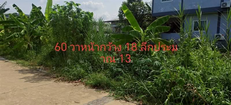 ที่ดินเปล่า 61 ตร.ว. ที่ดิน ซอยร่วมใจ1/2 ถนนรังสิต-ปทุมธานี, ปทุมธานี, ถนนรังสิต-ปทุมธานี, สวนพริกไทย, เมืองปทุมธานี, ปทุมธานี, 244 ตร.ม., ที่ดิน ขาย, โดย คุณ ปวีณรา กระแสร์ฉาย (วี), 500375798 - DDproperty.com