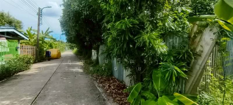 ที่ดินเปล่า 60 ตร.ว. ที่ดิน ซอยแจ่มสุข2 ถนนรังสิต-ปทุมธานี, Pathum Thani, ถนนรังสิต-ปทุมธานี, Suan Pring Thai, Muang Pathum Thani, Pathum Thani, , 240 sqm, Land For Sale, by คุณ ปวีณรา กระแสร์ฉาย (วี), 500375853 - DDproperty.com
