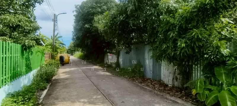 ที่ดินเปล่า 60 ตร.ว. ที่ดิน ซอยแจ่มสุข2 ถนนรังสิต-ปทุมธานี, ปทุมธานี, ถนนรังสิต-ปทุมธานี, สวนพริกไทย, เมืองปทุมธานี, ปทุมธานี, 240 ตร.ม., ที่ดิน ขาย, โดย คุณ ปวีณรา กระแสร์ฉาย (วี), 500375853 - DDproperty.com