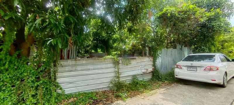 ที่ดินเปล่า 60 ตร.ว. ที่ดิน ซอยแจ่มสุข2 ถนนรังสิต-ปทุมธานี, ปทุมธานี, ถนนรังสิต-ปทุมธานี, สวนพริกไทย, เมืองปทุมธานี, ปทุมธานี, 240 ตร.ม., ที่ดิน ขาย, โดย คุณ ปวีณรา กระแสร์ฉาย (วี), 500375853 - DDproperty.com