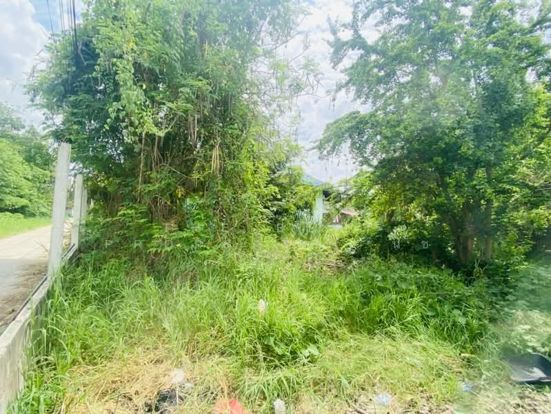 ที่ดินป่าเลา เพชรบูรณ์, Phetchabun, Pa Lao, Muang Phetchabun, Phetchabun, , 1,416 sqm, Land For Sale, by The Best Property นัช, 500375854 - DDproperty.com