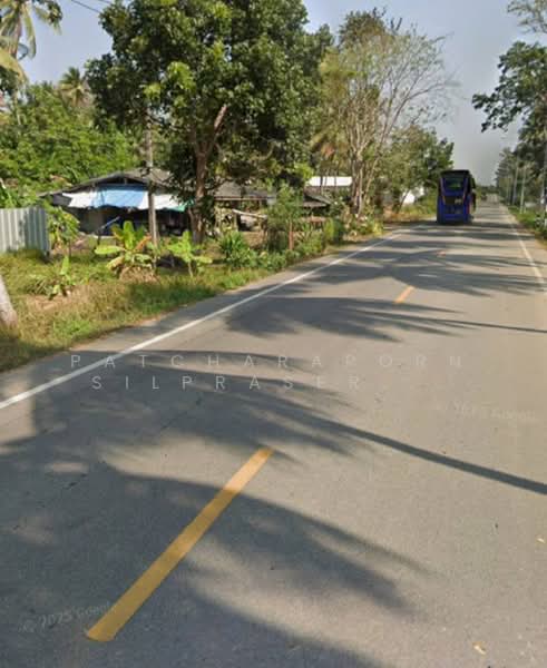 ขายที่ดินสวนมะพร้าว พร้อมบ้านพัก + คอนเทนเนอร์ 40 ฟุต ฟรี! ใกล้ชายหาด บางสะพาน จ.ประจวบคีรีขันธ์, ประจวบคีรีขันธ์, ธงชัย, บางสะพาน, ประจวบคีรีขันธ์, 3,968 ตร.ม., ที่ดิน ขาย, โดย Patcharaporn Silprasert (Patcha), 500375909 - DDproperty.com