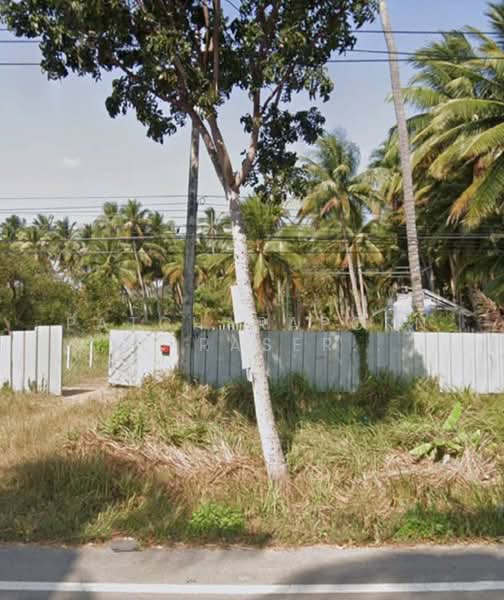 ขายที่ดินสวนมะพร้าว พร้อมบ้านพัก + คอนเทนเนอร์ 40 ฟุต ฟรี! ใกล้ชายหาด บางสะพาน จ.ประจวบคีรีขันธ์, ประจวบคีรีขันธ์, ธงชัย, บางสะพาน, ประจวบคีรีขันธ์, 3,968 ตร.ม., ที่ดิน ขาย, โดย Patcharaporn Silprasert (Patcha), 500375909 - DDproperty.com