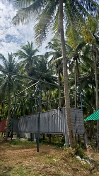 ขายที่ดินสวนมะพร้าว พร้อมบ้านพัก + คอนเทนเนอร์ 40 ฟุต ฟรี! ใกล้ชายหาด บางสะพาน จ.ประจวบคีรีขันธ์, ประจวบคีรีขันธ์, ธงชัย, บางสะพาน, ประจวบคีรีขันธ์, 3,968 ตร.ม., ที่ดิน ขาย, โดย Patcharaporn Silprasert (Patcha), 500375909 - DDproperty.com