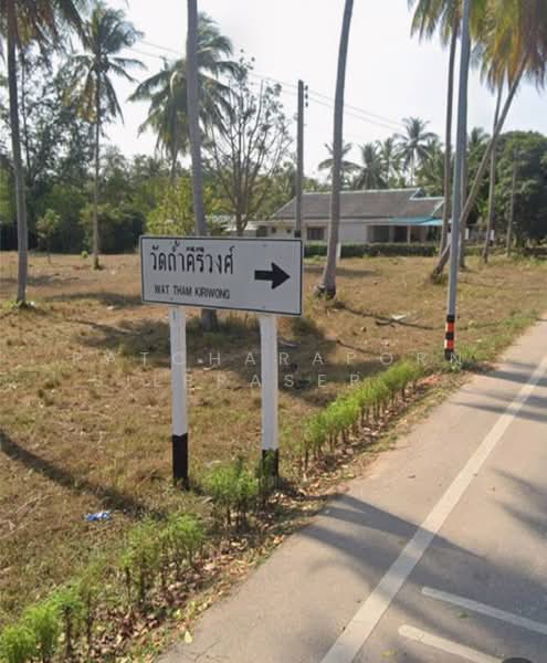 ขายที่ดินสวนมะพร้าว พร้อมบ้านพัก + คอนเทนเนอร์ 40 ฟุต ฟรี! ใกล้ชายหาด บางสะพาน จ.ประจวบคีรีขันธ์, ประจวบคีรีขันธ์, ธงชัย, บางสะพาน, ประจวบคีรีขันธ์, 3,968 ตร.ม., ที่ดิน ขาย, โดย Patcharaporn Silprasert (Patcha), 500375909 - DDproperty.com