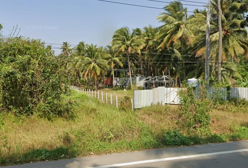 ขายที่ดินสวนมะพร้าว พร้อมบ้านพัก + คอนเทนเนอร์ 40 ฟุต ฟรี! ใกล้ชายหาด บางสะพาน จ.ประจวบคีรีขันธ์, Prachuap Khiri Khan, Thongchai, Bang Saphan, Prachuap Khiri Khan, , 3,968 sqm, Land For Sale, by Patcharaporn Silprasert (Patcha), 500375909 - DDproperty.com
