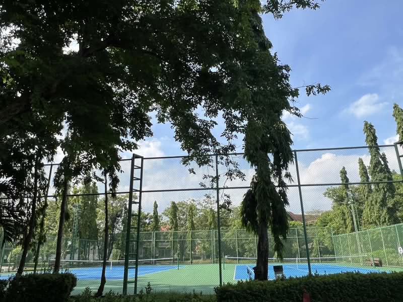 Baan Makmai Ao Ngoen-Watcharapol : หมู่บ้านแมกไม้ ออเงิน-วัชรพล, กรุงเทพ, สายไหม, กรุงเทพ, 170 ตร.ม., ทาวน์เฮ้าส์ ขาย, โดย คุณพี, 500375915 - DDproperty.com