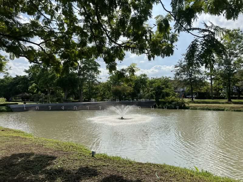 Baan Makmai Ao Ngoen-Watcharapol, Bangkok, Sai Mai, Bangkok, 3 Bedrooms, 170 sqm, Townhouse For Sale, by คุณพี, 500375915 - DDproperty.com