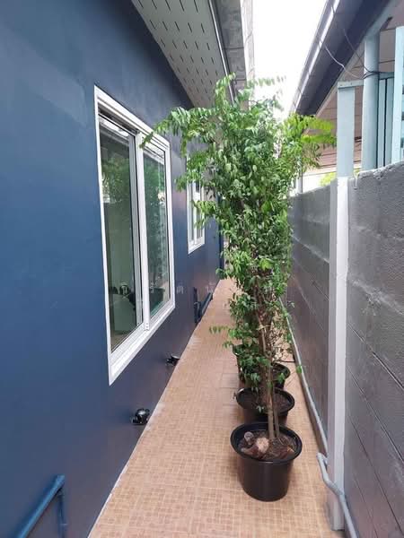 Single House Charansanitwong 75, Bangkok, Bang Phlat, Bangkok, 4 Bedrooms, 290 sqm, Single Detached House For Rent, by wirattanun leemakul Mew, 500375996 - DDproperty.com