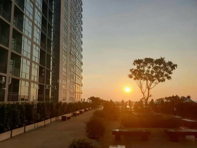 The Grand Jomtien Pattaya Beach, Chon Buri (Pattaya), 555/1465 Village No. 12, Nong Pru, Bang Lamung (Pattaya), Chon Buri (Pattaya), 1 Bedroom, 26 sqm, Condo For Sale, by Thanyathita Nalinratphokin, 500376016 - DDproperty.com