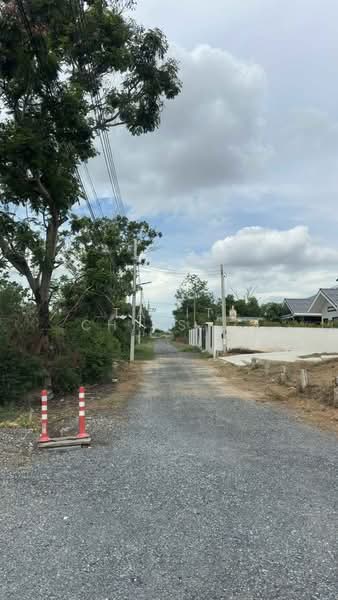 4-BR House, Bangkok, Khlong Sip, Nong Chok, Bangkok, 4 Bedrooms, 325 sqm, Single Detached House For Sale, by Tarit Chinsomboon, 500376305 - DDproperty.com